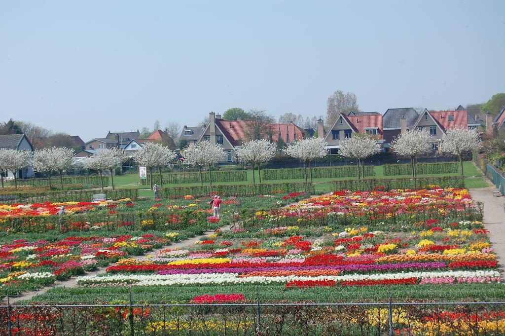 B&B Limmerzand Limmen Bagian luar foto